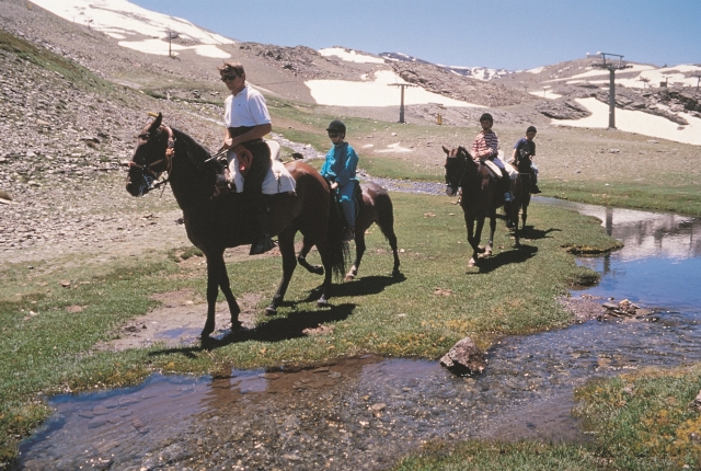 Caballos junto al río